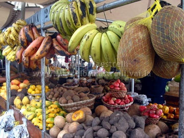 Mercado Ver-o-Peso market in Belem