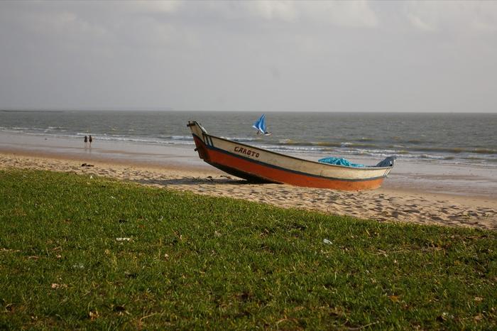 Marajó Island in Belém do Pará