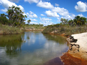 Parque Nacional Grande Sertao Veredas
