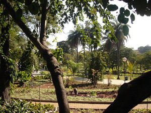 Fundacao Zoo Botanica Jardim Zoologico in Belo Horizonte