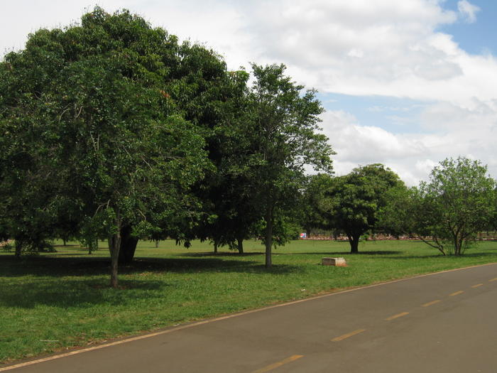 Sarah Kubitschek City Park in Brasília
