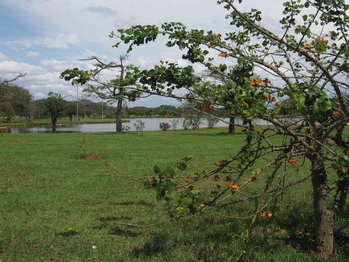 Sarah Kubitschek City Park in Brasília