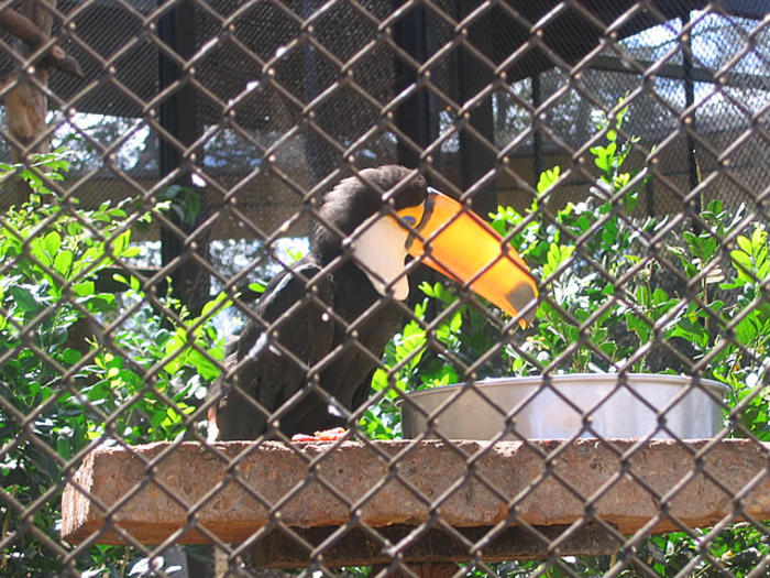 Brasilia Zoo