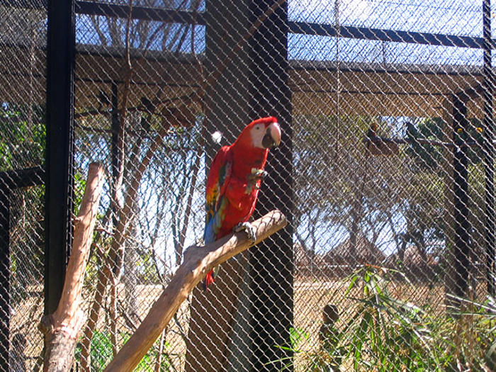 Brasilia Zoo
