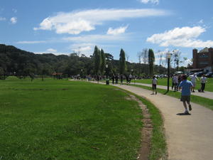 Barigui Park in Curitiba
