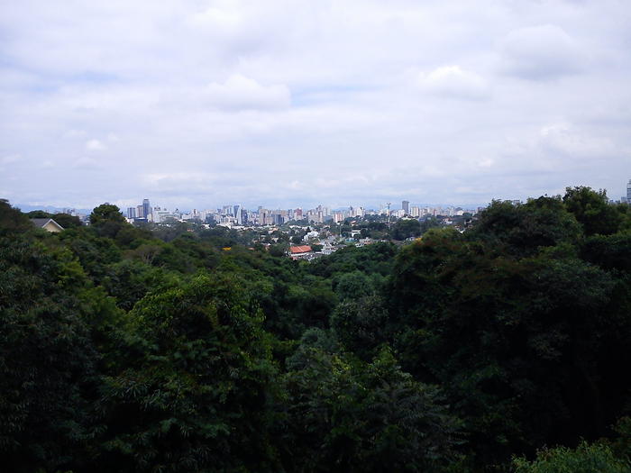 Bosque Alemão in Curitiba