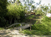 Bosque Gutierrez