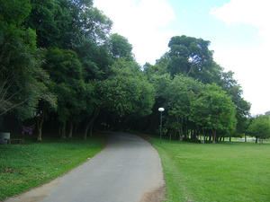 São Lourenço Park in Curitiba