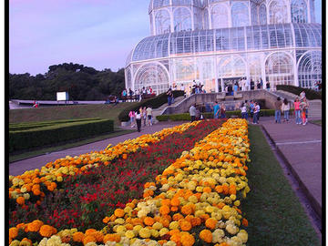 Jardim Botanico in Curitiba