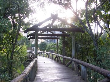 Jardim Botanico in Curitiba