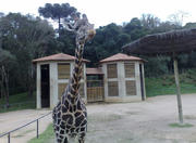 Iguaçu Park Zoo in Curitiba