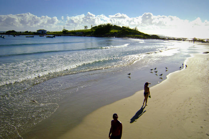 Armação Beach in Florianopolis