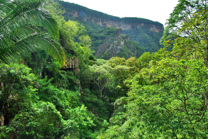 Parque Nacional de Ubajara - Ceará