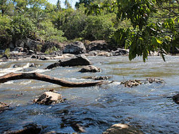 Reserva Ecologica de Sapiranga