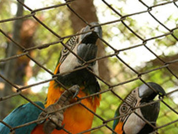 Fortaleza Zoo
