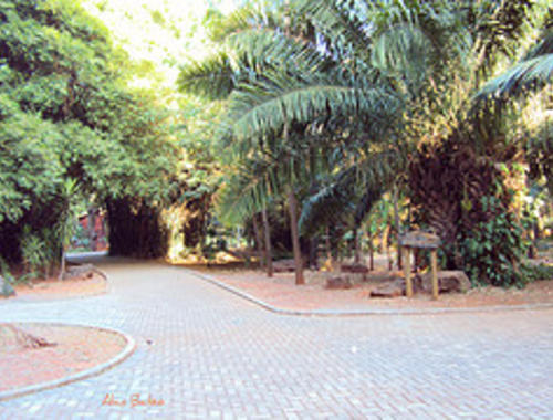 Areiao Park