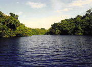 IrandubaTown, Manaus, Amazon