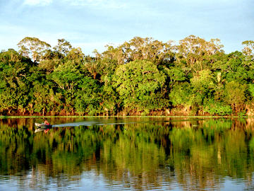Silves Island in the Amazon region