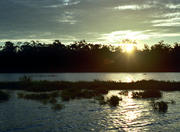 Silves Island in the Amazon region
