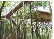 Picutre of Juma Lodge in Manaus