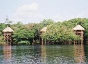 Picutre of Juma Lodge in Manaus