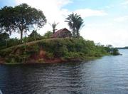 Picutre of Mamori Amazon Hostel in Manaus