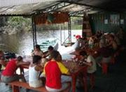 Picutre of Manaus Jungle Hostel in Manaus