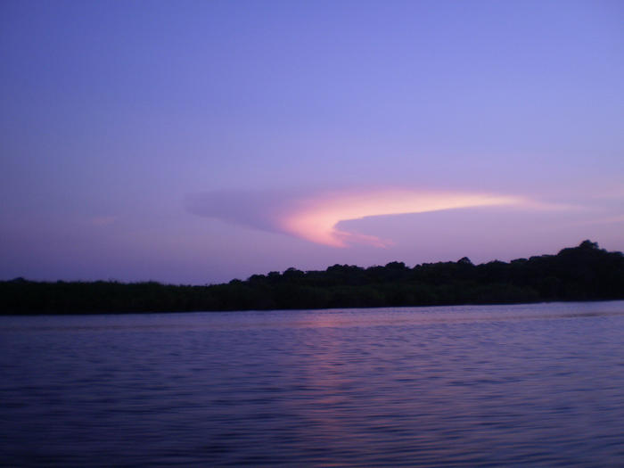 Janauari Ecological Park, Manaus, Amazon