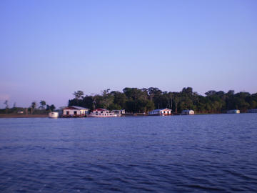 Janauari Ecological Park, Manaus, Amazon