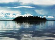 Amazon National Park