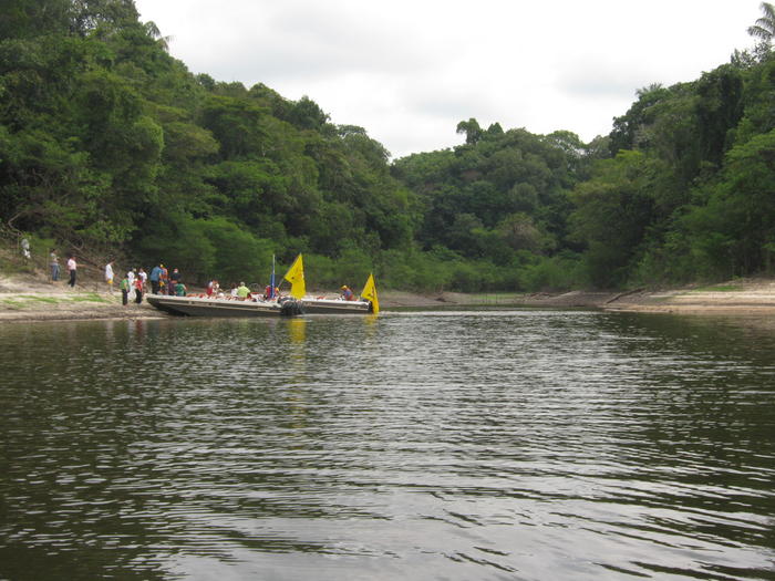 Solimões River, Amazon