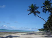 Carneiros Beach in Recife