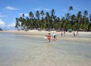 Carneiros Beach in Recife