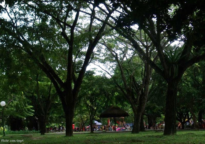 Jaqueira Park in Recife