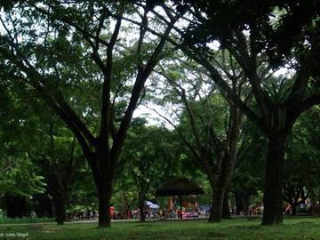 Jaqueira Park in Recife