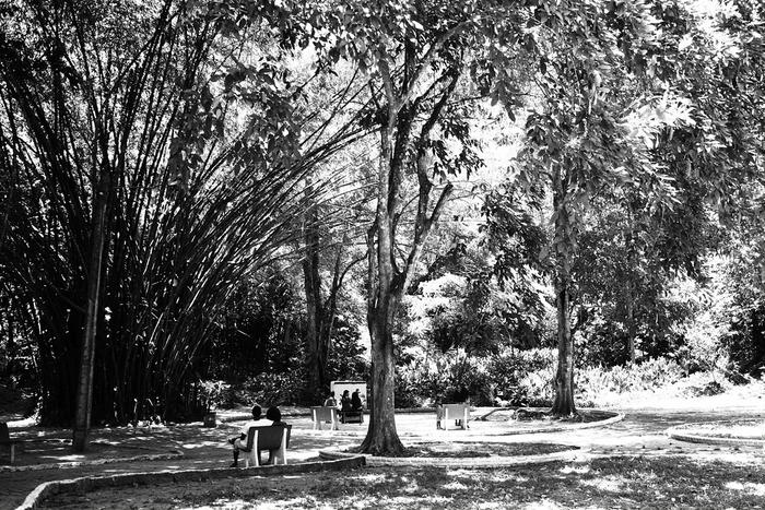 Parque Dois Irmaos