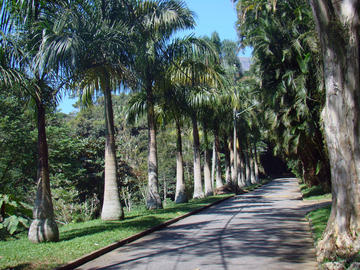 Gávea Park in Rio de Janeiro