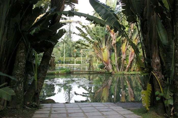 Jardim Botanico in Rio de Janeiro
