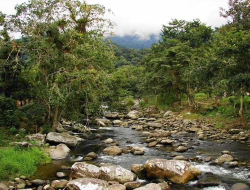 Parque Nacional da Serra da Bocaina