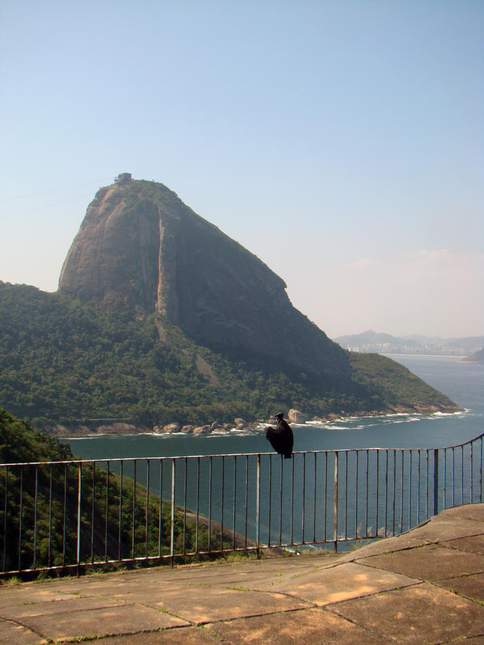 Sugar Loaf in Rio de Janeiro