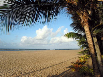 Boipeba Island Beach in Bahia
