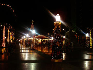 Christmas in Salvador