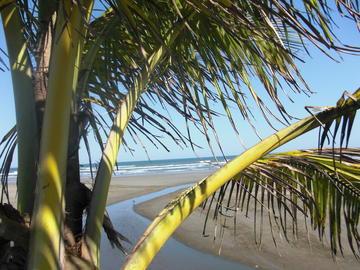 Peruíbe Seaside Resort