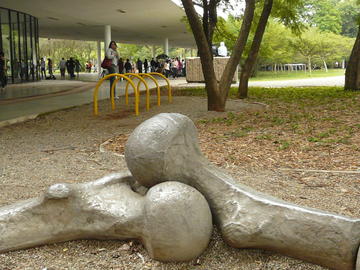 Museum of Modern Art in São Paulo