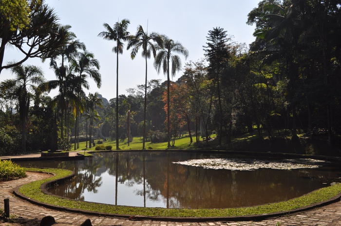 Botanical Garden of São Paulo