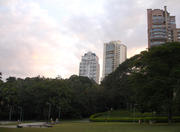 Burle Marx Park - São Paulo