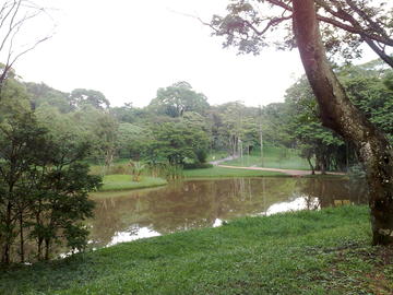 Carmo Park in Sao Paulo
