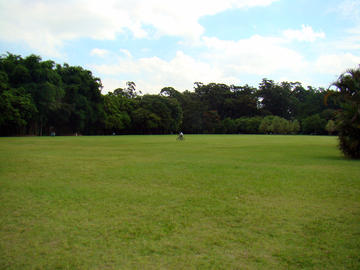 Ibirapuera Park in Sao Paulo
