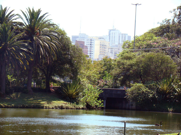 Ibipirapuera Park in São Paulo