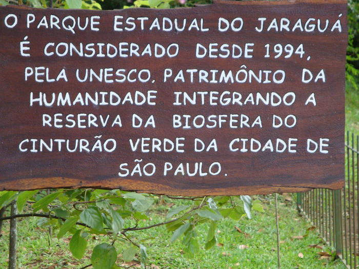 Jaraguá State Park in São Paulo